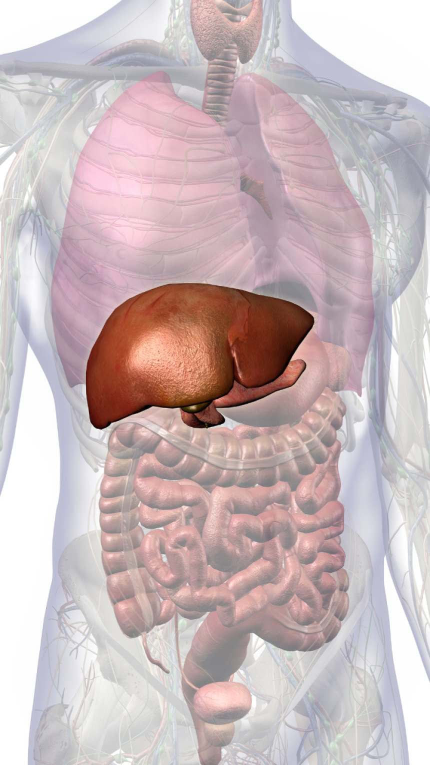 10 diet habits to cleanse the liver