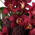 red cymbidium orchid flowers