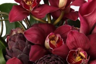 red cymbidium orchid flowers