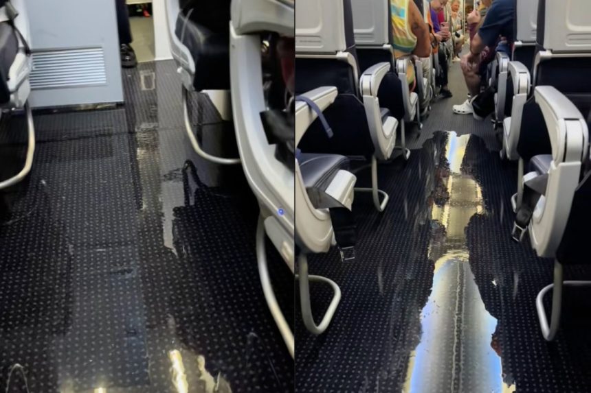 American Airlines passenger films chaos as bathroom floods aisles in mid-air