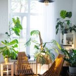 A sun-lit room filled with plants.