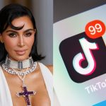 Internet users are speculating that the Kardashians may buy TikTok ahead of the looming ban