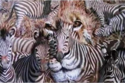 Optical illusion personality test: The animal you see first shows your dominant quality