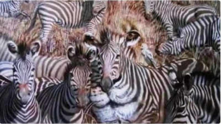 Optical illusion personality test: The animal you see first shows your dominant quality