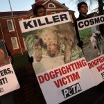 Animal advocates from PETA demonstrate as Michael Vick appears at Sussex County Courthouse for a plea agreement in his state dogfighting charges.