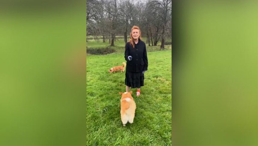 Sarah Ferguson posts poignant Christmas message: ‘You must keep going’