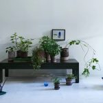 The Editors' Cut: The Best Houseplant Accessories for Doting Plant Parents