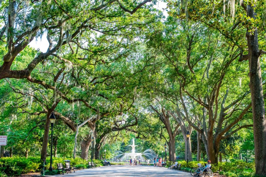 Image may contain Plant Tree Grass Nature Outdoors Park Bicycle Transportation Vehicle City Person and Bench