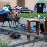 A dog barks as a homeless person sleeps in the backyard of an abandoned house