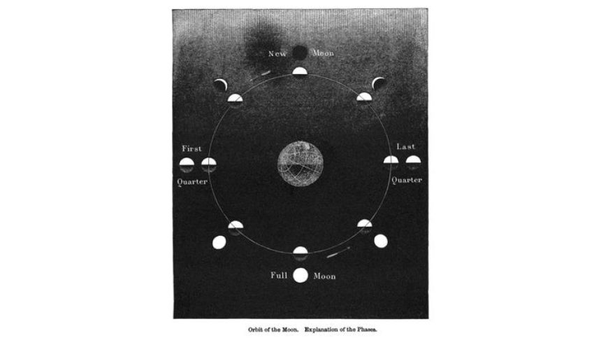 A black-and-white illustration of the Moon in various phases, including the full Moon December 2024