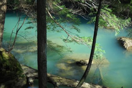 Why You Should Hike Alabama’s Sipsey Wilderness this Winter