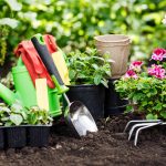 5 Spring Gardening Tasks That Gardening Pros Secretly Hate