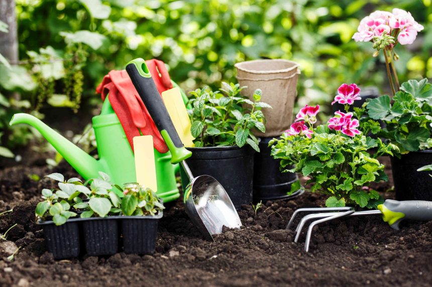 5 Spring Gardening Tasks That Gardening Pros Secretly Hate