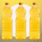 Everything to Know About Canola Oil, the Neutral Oil That Chefs Swear By for Sautéing and Frying