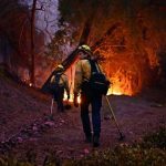 Firefighters race to beat LA blazes as winds grow and death toll hits 16 - SUCH TV