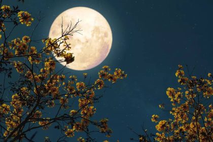 From wolf moon to blood moon: 11 full moons and what do they mean