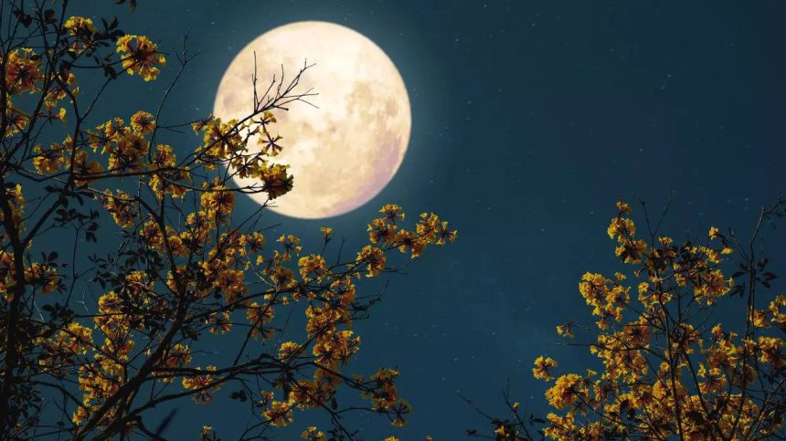 From wolf moon to blood moon: 11 full moons and what do they mean