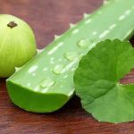 How to use Amla and Aloe Vera to stop hair fall