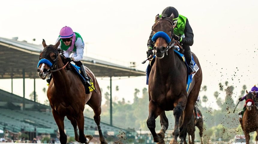 A horse race at Santa Anita Park