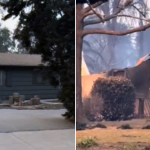 Altadena wildfire damage