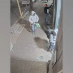 Surveillance video of vandals