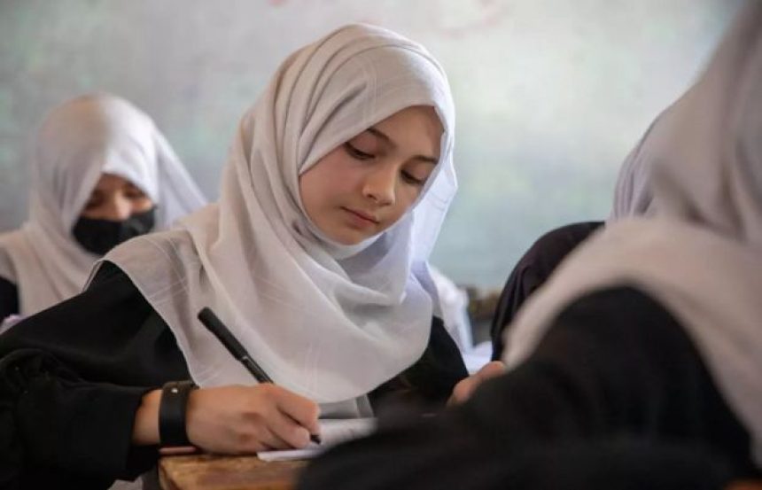 Senior Taliban official urges reversal of education ban on Afghan girls - SUCH TV