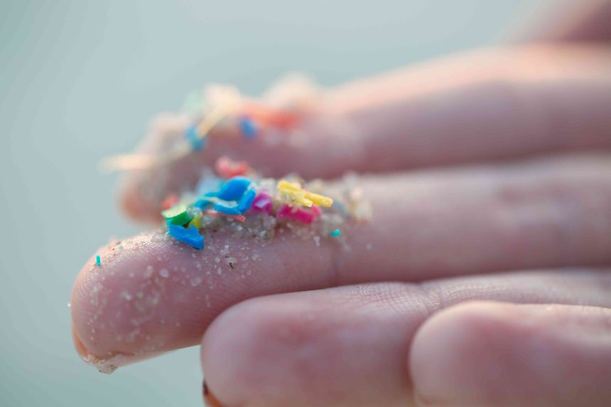 Study: Breathing in Microplastics Likely Linked to Digestive, Respiratory, and Fertility Issues