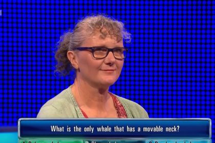 Bradley Walsh couldn't believe what was happening on The Chase