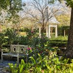 This Tiny Garden In Downtown Mobile, Alabama, Is Home To Over 325 Camellia Cultivars