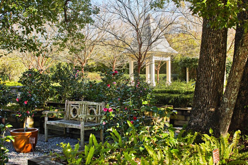 This Tiny Garden In Downtown Mobile, Alabama, Is Home To Over 325 Camellia Cultivars