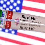 Test tube is seen labelled Bird Flu in front of the US flag in this illustration taken, June 10, 2024. — Reuters