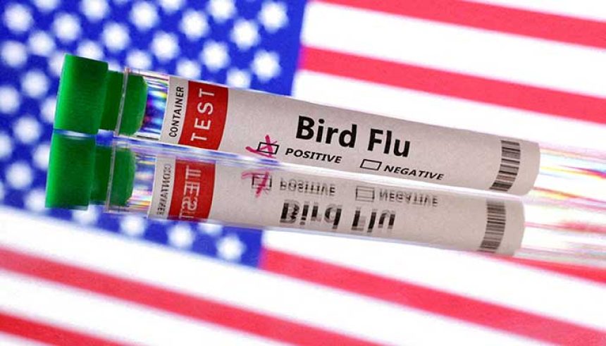 Test tube is seen labelled Bird Flu in front of the US flag in this illustration taken, June 10, 2024. — Reuters