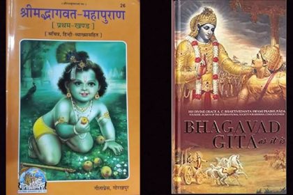 What is the difference between Bhagwad Gita and Shrimad Bhagavatam