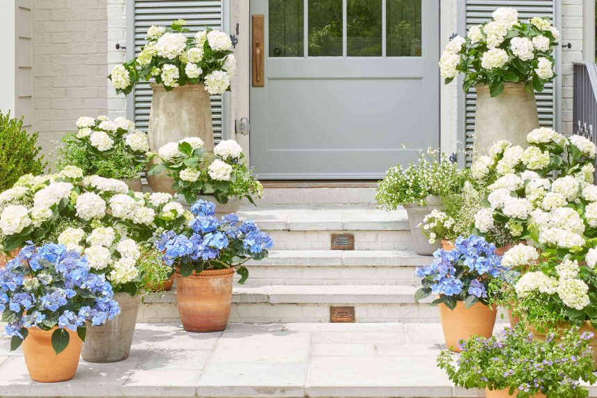 Why You Should Always Clean Garden Containers Before Potting New Plants