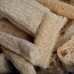 You Can Grow Your Own Loofah Sponges—Here’s What to Do with Them