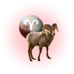 Image may contain Sphere Animal Livestock Mammal Sheep and Plate