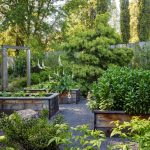 10 Raised Garden Bed Mistakes You Might Be Making