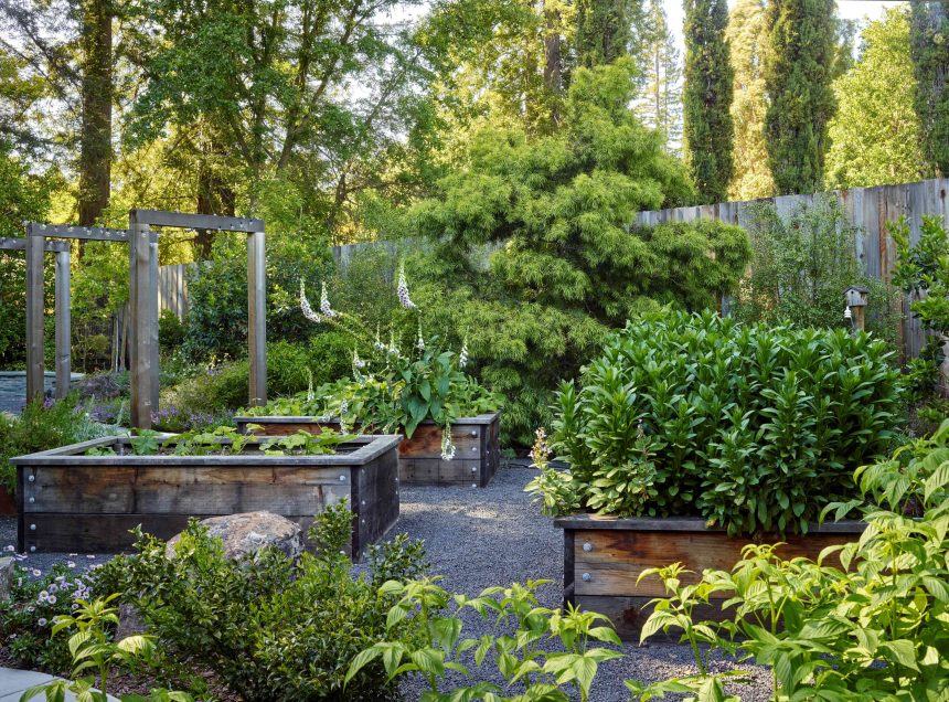 10 Raised Garden Bed Mistakes You Might Be Making