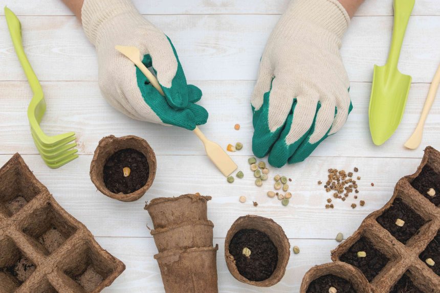 6 of the Worst Seed Starting Tips Gardeners Have Ever Heard (and What to Do Instead)