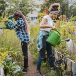 7 Watering Mistakes You're Making In Your Vegetable Garden