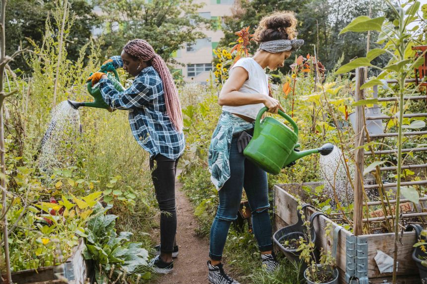 7 Watering Mistakes You're Making In Your Vegetable Garden