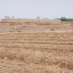 A “Dune”-Esque Home in the Moroccan Desert Draws Water From Ancient Canals - Photo 1 of 15 -