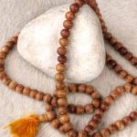 All about the Tulsi Mala; Why some people wear it, its benefits, rules, and more