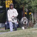 Pax walked the streets of LA with a new furry friend