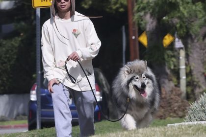 Pax walked the streets of LA with a new furry friend