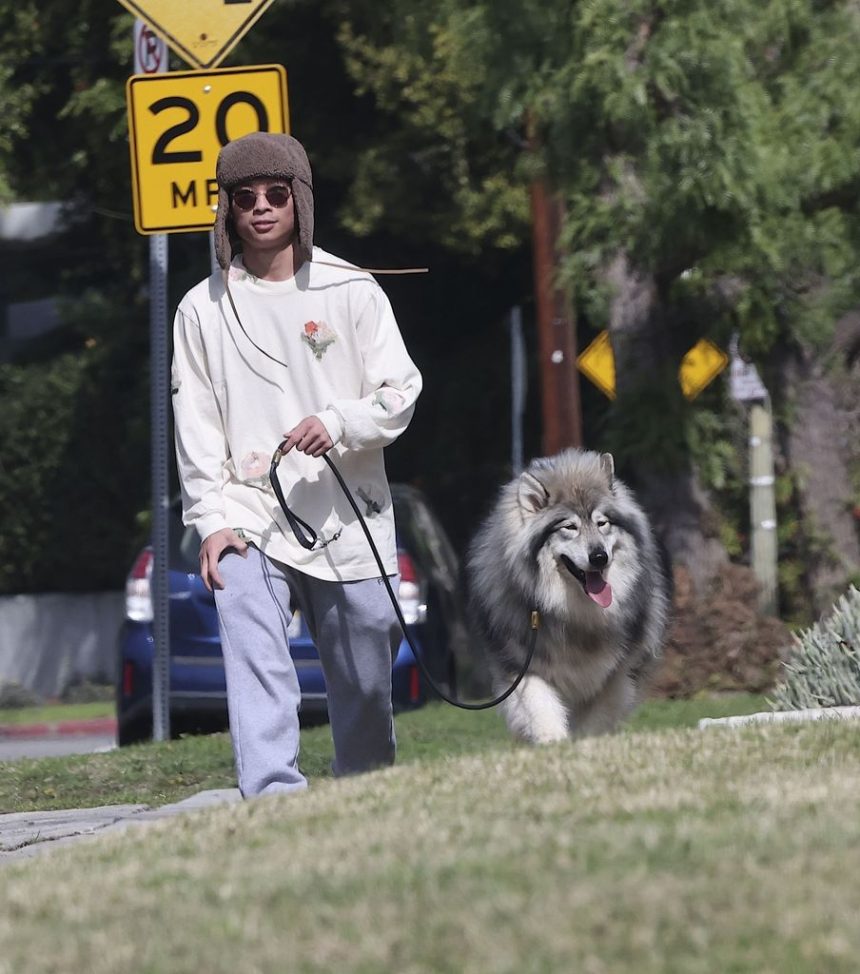 Pax walked the streets of LA with a new furry friend