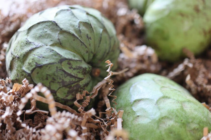 Cherimoya Granita: A Sweet, Refreshing Recipe Featuring the Tropical Fruit