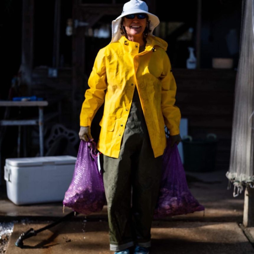 A woman harvests oysters and wears a yellow rain jacket