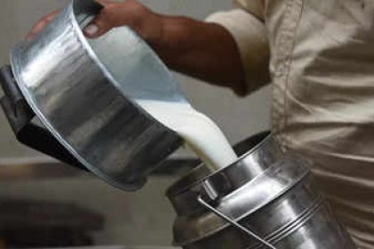 97% milk samples found adulterated in this state: 6 smart ways to check milk purity at home