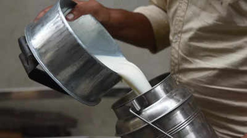 97% milk samples found adulterated in this state: 6 smart ways to check milk purity at home